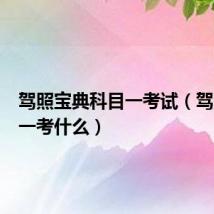 驾照宝典科目一考试(驾照科目一考什么)