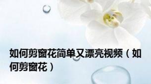 如何剪窗花简单又漂亮视频（如何剪窗花）