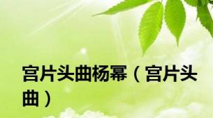 宫片头曲杨幂（宫片头曲）