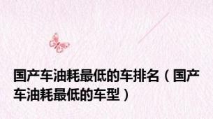国产车油耗最低的车排名（国产车油耗最低的车型）