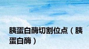 胰蛋白酶切割位点（胰蛋白酶）