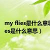 my flies是什么意思（flies是什么意思）