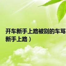 开车新手上路被别的车骂(开车新手上路)