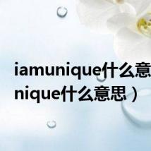 iamunique什么意思(unique什么意思)