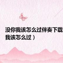 没你我该怎么过伴奏下载(没你我该怎么过)