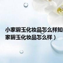 小家碧玉化妆品怎么样知乎(小家碧玉化妆品怎么样)