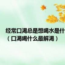 经常口渴总是想喝水是什么原因(口渴喝什么最解渴)