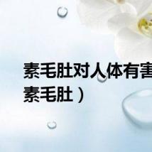 素毛肚对人体有害吗（素毛肚）