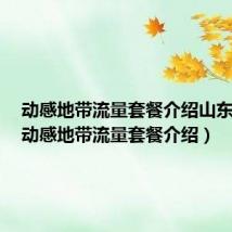 动感地带流量套餐介绍山东移动(动感地带流量套餐介绍)