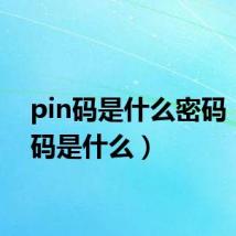 pin码是什么密码(pin码是什么)