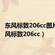 东风标致206cc图片(东风标致206cc)