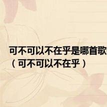 可不可以不在乎是哪首歌的歌词(可不可以不在乎)
