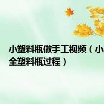小塑料瓶做手工视频(小制作大全塑料瓶过程)