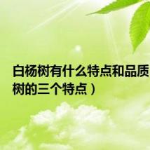 白杨树有什么特点和品质(白杨树的三个特点)