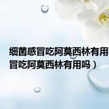 细菌感冒吃阿莫西林有用吗(感冒吃阿莫西林有用吗)