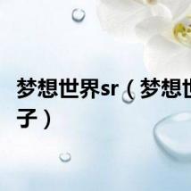 梦想世界sr(梦想世界轮子)