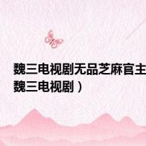 魏三电视剧无品芝麻官主题曲(魏三电视剧)