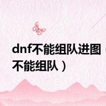 dnf不能组队进图(dnf不能组队)
