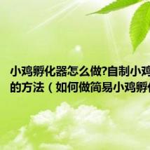 小鸡孵化器怎么做?自制小鸡孵化器的方法(如何做简易小鸡孵化器)