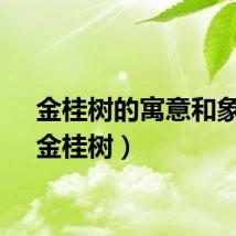 金桂树的寓意和象征（金桂树）