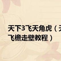 天下3飞天角虎(天下3飞檐走壁教程)
