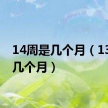 14周是几个月(13周是几个月)