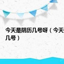 今天是阴历几号呀(今天是阴历几号)