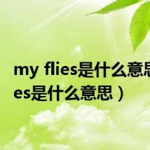 my flies是什么意思(flies是什么意思)