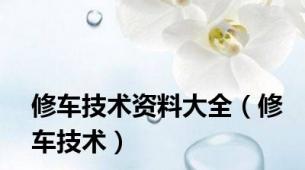 修车技术资料大全（修车技术）