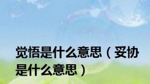 觉悟是什么意思（妥协是什么意思）