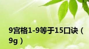 9宫格1-9等于15口诀（9g）