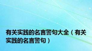 有关实践的名言警句大全（有关实践的名言警句）