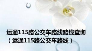 运通115路公交车路线路线查询（运通115路公交车路线）