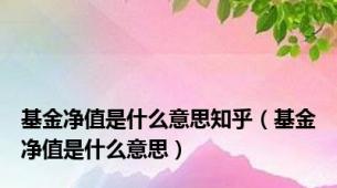 基金净值是什么意思知乎（基金净值是什么意思）