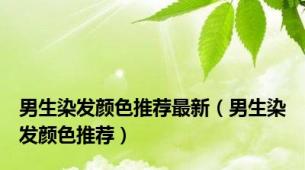 男生染发颜色推荐最新（男生染发颜色推荐）