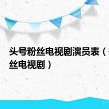 头号粉丝电视剧演员表(头号粉丝电视剧)