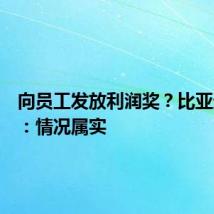向员工发放利润奖？比亚迪回应：情况属实