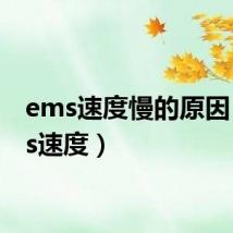ems速度慢的原因(ems速度)