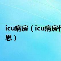 icu病房(icu病房什么意思)