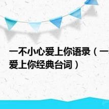一不小心爱上你语录(一不小心爱上你经典台词)