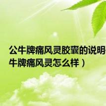 公牛牌痛风灵胶囊的说明书(公牛牌痛风灵怎么样)