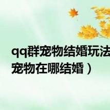 qq群宠物结婚玩法(qq宠物在哪结婚)