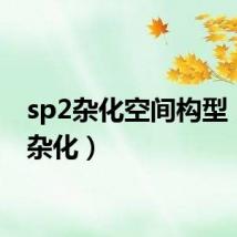 sp2杂化空间构型(sp2杂化)