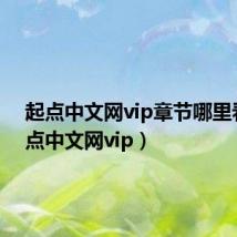起点中文网vip章节哪里看(起点中文网vip)