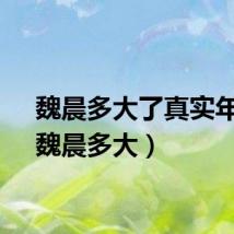 魏晨多大了真实年龄(魏晨多大)