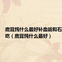 鹿茸炖什么最好补血能和石斛一起吃(鹿茸炖什么最好)