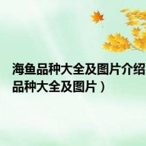 海鱼品种大全及图片介绍(海鱼品种大全及图片)