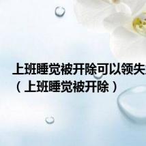 上班睡觉被开除可以领失业金吗(上班睡觉被开除)