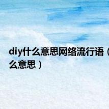 diy什么意思网络流行语(diy什么意思)