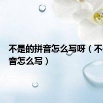 不是的拼音怎么写呀(不是的拼音怎么写)